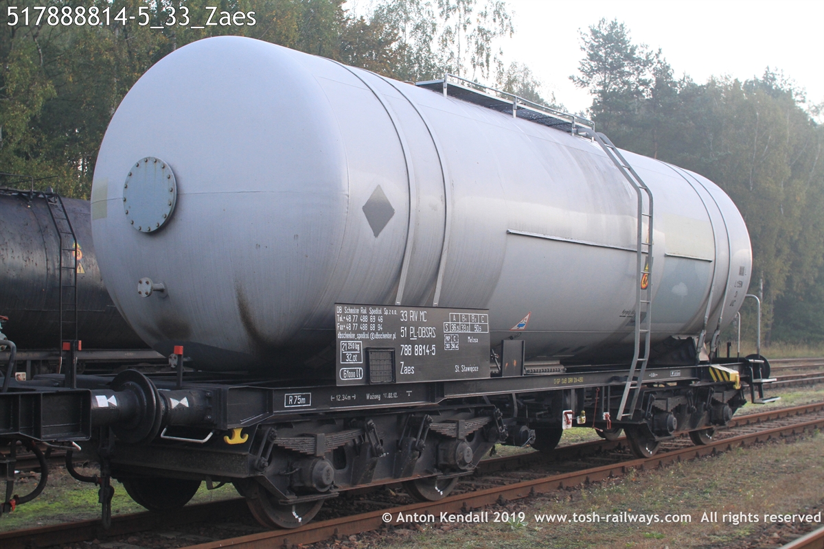 517888814-5_33_Zaes.JPG